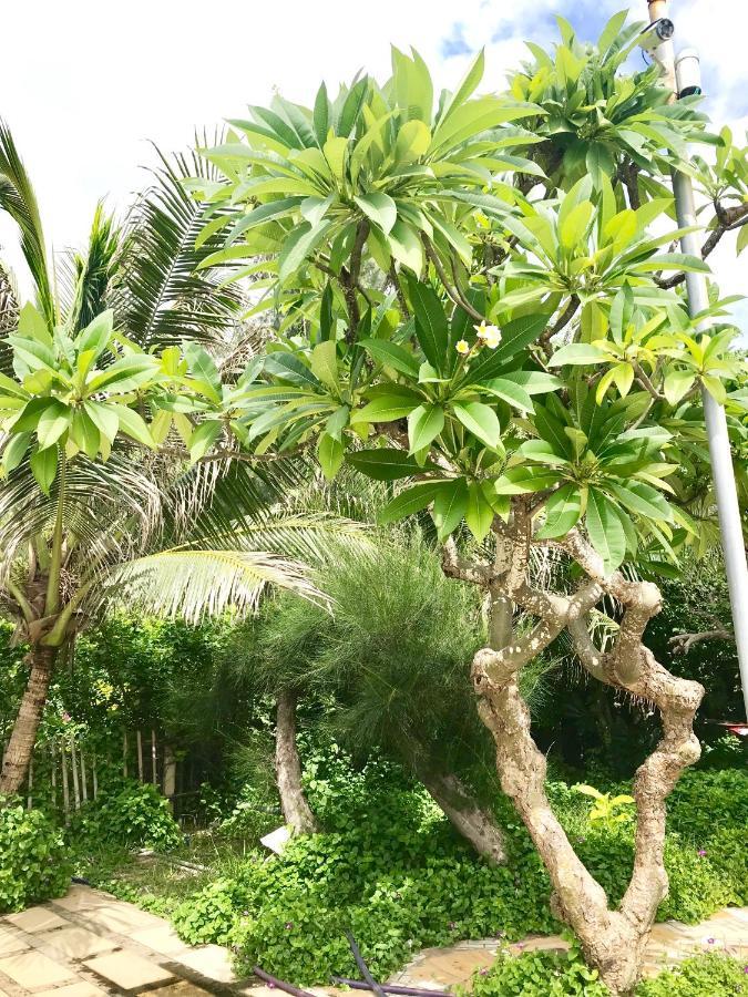 לונג האי Oceanward Hotel & Resort מראה חיצוני תמונה